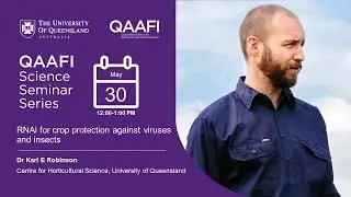 RNAi for crop protection against viruses and insects