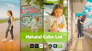 Natural Color Lut | Cinematic Lut Color Grading | Natural Luts | Free Cinematic Lut