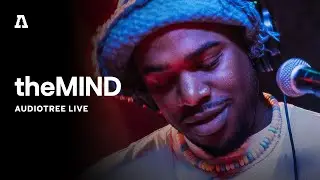 theMIND on Audiotree Live (Full Session)