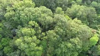 Addicks Reserve - Houston