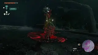 Phantom Ganon Gropes Link Before Getting Shot To Death By A Bird