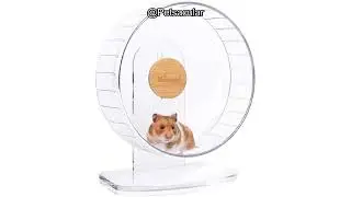 Niteangel Super-Silent Hamster Wheel Review: Is It Worth the Quiet, Adjustable Design?