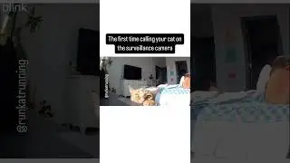 Cat's HILARIOUS Reaction Through Security Camera