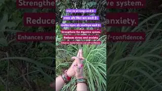 Strengthens the digestive system || #shortsfeed #ytshorts #shorts #yogapractice #meditation #yoga