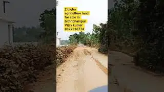 2 bigha agriculture land for sale in bithrichainpur Bareilly Uttar Pradesh
