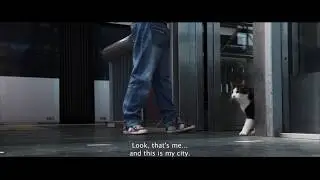 Город глазами кота (Wild Amsterdam) - Русский трейлер (2018) | Фильм