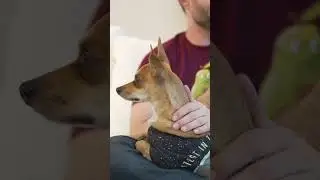 How did Travel Ruby start?