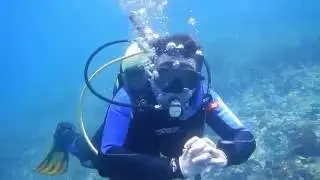 Greek Blue