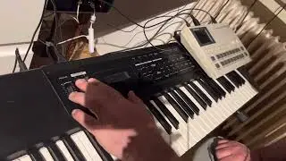 Roland TR-505 & Roland Xp 10