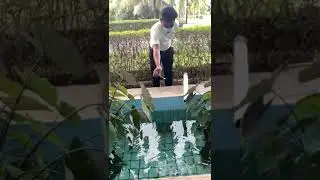 Archer Fish caught in slow motion 👌