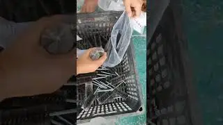 twisted wire spiral power stainless steel tube cleaning deburring brushes China Factory