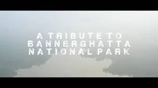 Bannerghatta National Park | Tribute Music Video | Karnataka Forest Department | Bengaluru