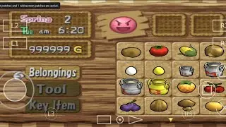 Harvest Moon: Save The Homeland - PS2 - PNACH #emulator #pcsx2 #aethersx2 #ps2