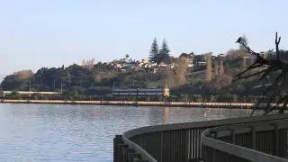 Orakei Basin Walkway