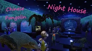 Chinese Pangolin and Night House Part 2 - PineHut Zoo - Planet Zoo