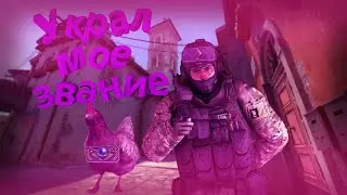 КУРОЧКА УКРАЛА МОЕ ЗВАНИЕ В CSGO!