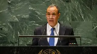 🇪🇬 Египет, общие прения, 79-я сессия