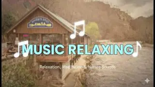 Nature's Lullaby : Pure & Relaxing - Nature Relaxing- Deep focus Ambience - No Ads [4K UHD]
