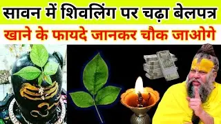 सावन में शिवलिंग पर चढ़ा बेलपत्र खाने के फायदे जानकार चौक जाओगे😱 #savan2025