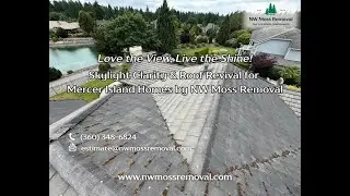 Skylight Clarity  Roof Revival for Mercer Island Homes by NW Moss Removal