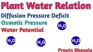 Plant Water Relation | Transport In Plants | Water Potential | Osmosis | Osmotic Pressure | DPD