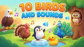Learn 10 Bird Names & Sounds for Kids 🐦 Fun Educational Video for Children