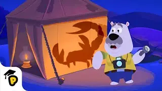 Desert Night Life | Learn about Animals | Kids Learning Video | Dr. Panda TotoTime