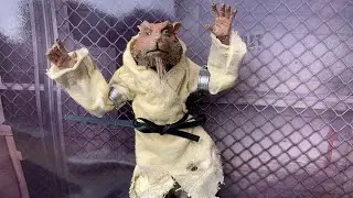 Teenage Mutant Ninja Turtles 1990 Movie NECA Toys Splinter SDCC 2019 Exclusive Action Figure Review