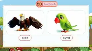 Ch 20 | Classico Books Publishing | Picture Book | A | Beautiful Birds | For Children