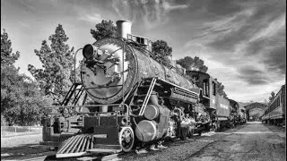 Wilkins Coffee - Trainload