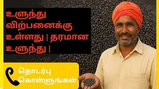 உளுந்து விற்பனைக்கு உள்ளது தரமான உளுந்து #உளுந்து  #agriculture #farming #tamilnaduagriculture 
