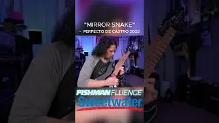 Did Fishman SAVE this budget Superstrat?