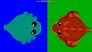 the history of mope.io part 14 to 15. SM and LM! Pigeons/doves and Toucans