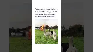 #trabajo #diy #fuego #algotranqui