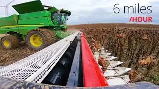 NARDI  14.4mt sunflower header
