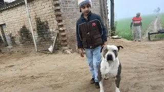 ਅੱਜ ਖੇਤ ਜਿਮੀ ਤੇ ਗੈਵੀ ਨੇ ਕੀਤੀ ਮਸਤੀ 🤗