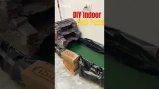 DIY waterfall Fish pond mein problem 😭 #shorts