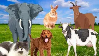 HOW AN OWL SCREAMS,ANIMAL SOUNDS ELEPHANT, TIGER, GIRAFFE