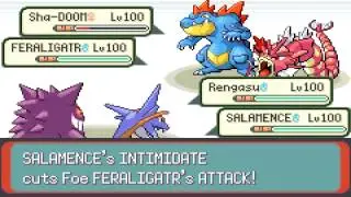 (WiFi) Pokemon Emerald - Multi-Battle! || Shatter and Friends - 6 vs. 6