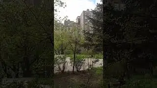 Предиван дан.
