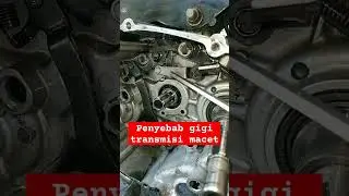 review bebek goreng 2tk gigi prosneleng macet#shorts