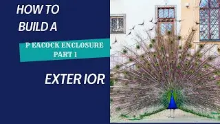 How To Build A Peacock Enclosure Part 1- Exterior