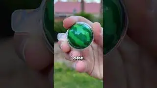 what a mini watermelon looks like