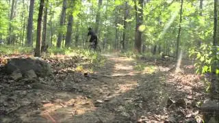 Competitive Cyclist Reviews Yeti SB-66