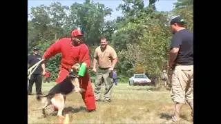 andrew & warden PSA decoy camp
