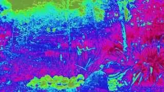 GRIFFS - SilentReflection (Official)