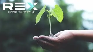 Staking Vs Trading Crypto - Lets Talk About Rex #shorts