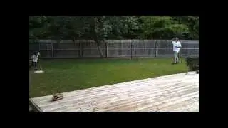 4 year old baseball PHENOM!!!!