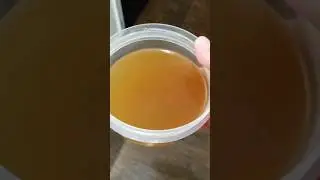 Shrimp Broth from Shells