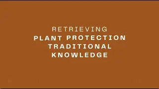 Retrieving Plant Protection Traditional Knowledge